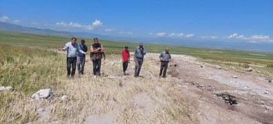 Kars'ta son günlerde etkili olunca çiftçiler korkunç manzara ile karşılaşmak zorunda kaldı. Yetkililer bölgede acil inceleme başlattı - Resim : 1