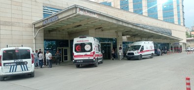 Yaylada koyun sağarken başına tuhaf bir olay geldi! Genç kız hemen hastaneye kaldırıldı - Resim : 1