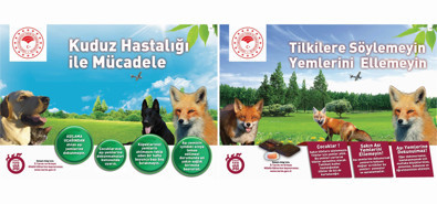 Eskişehir'de kuduz hastalığıyla mücadele sürüyor! Havadan aşılıyorlar - Resim : 1
