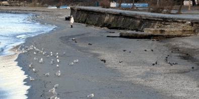 İstanbul'da bu sabah Avcılar sahiline yürüyüş yapmaya giden vatandaşlar karşılaştıkları manzaraya inanamadı - Resim : 1