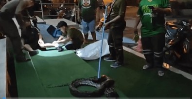 Evinde gece vakti uyuyan adam, gözlerini açtığında ayağında korkunç canavarı gördü. Can havliyle canavardan koca bir ısırık parça kopardı - Resim : 1