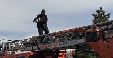 Kayseri'de tırmandığı ağaçta mahsur kaldı. İmdadına itfaiye ekipleri yetişti - Resim : 2
