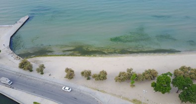 İstanbul sahilleri bu halde... Caddebostan, Menekşe plajları... - Resim : 1