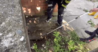 Tokat’ta yılan evin bahçesine kadar girdi…Ev sahipleri hemen ekiplere haber verdi - Resim : 1