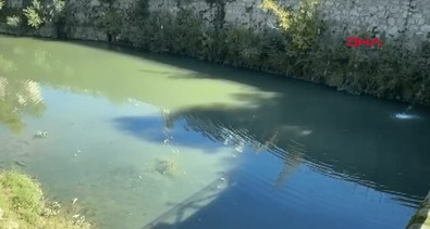 Bartın'da debisi düşen ırmakta meydana gelen balık ölümleri tedirginliğe yol açtı - Resim : 2