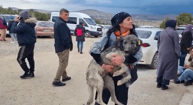Konya’da hayvan barınağında vahşet! Hayvanseverler köpekleri dışarı çıkartıyor! - Resim : 1