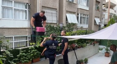 Avcılar'da tel çite sıkışıp yaralandı. İmdadına itfaiye ekipleri koştu - Resim : 2