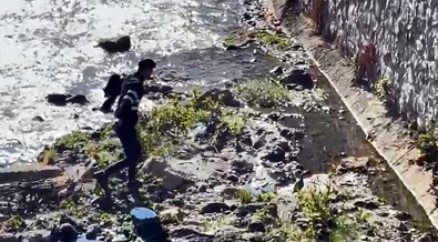 Bitlis'te keklik operasyonu! Film izler gibi izlediler - Resim : 2