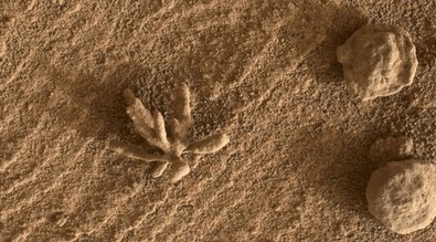 NASA'lı araştırmacılar Mars yüzeyinde gezerken gözlerine takıldı... Görüntüler acil olarak Dünya'ya gönderildi…Toplanın gidiyoruz - Resim : 1
