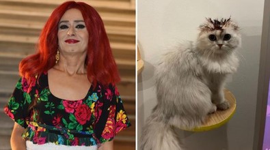 Nesrin Cavadzade'den Yıldız Tilbe yorumu... Kediye kına yakmıştı - Resim : 1