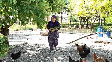 3 çocuk annesi kadının bahçesinde bir anda büyümeye başladı. Devasa boyutlara ulaştı. Evdeki herkes sabah ilk onu kontrol ediyor - Resim : 1