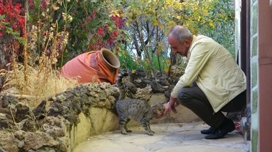 Küpün içinden çıkanları gören adam şaşkına döndü! - Resim : 2