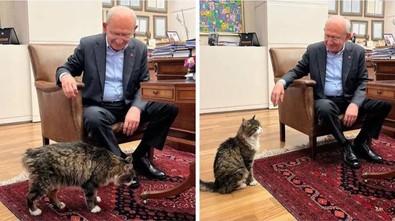 Kılıçdaroğlu'nun ardından Karamollaoğlu da paylaştı: Şero ile aynı fikirde - Resim : 1