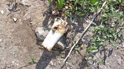 Talihsizliğin böylesi: Gökten kemik düştü, cebinden 25 bin TL çıktı - Resim : 1