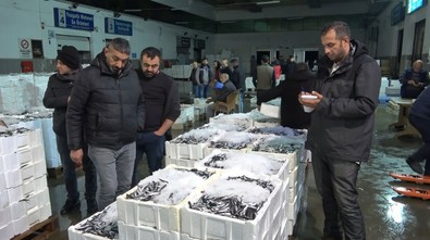 Samsun'da mezatta hamsi kapış kapış satıldı! Vatandaş hamsiye doyacak! - Resim : 2