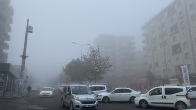 Diyarbakır'da sabah saatlerinde göz gözü görmedi. Uçak seferleri aksadı - Resim : 2
