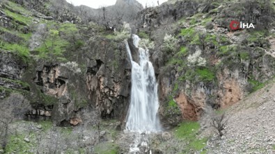 Şırnak'ta bayram boyu süren yağışlar sonrasında dev şelale coştu. Yağışların durmasıyla birlikte vatandaşlar soluğu orada aldı - Resim : 2