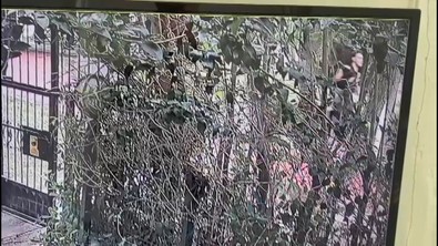 İstanbul Esenyurt’ta vahşet! 16 yaşındaki çocuk 79 yaşındaki Mustafa Ergene’yi tek yumrukla öldürdü! - Resim : 2