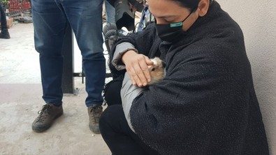 Enkaz altındaki Beril’in ‘ponpon’ isimli tavşanı bulundu! - Resim : 1
