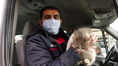 2 saat boyunca onu aradı, yavru kedi yedek lastik bölümünden çıktı - Resim : 1