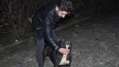 İğrenç olayın adresi Bursa!.. Çığlıklarına vatandaş yetişti! - Resim : 1