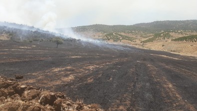 Kahramanmaraş'ta orman yangını! Havadan ve karadan müdahale devam ediyor - Resim : 1