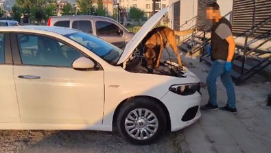 Narkotik köpeği 'Thor'dan kaçış yok! Otomobil bagajındaki ilk yardım çantasından uyuşturucu çıktı: 2 gözaltı - Resim : 1