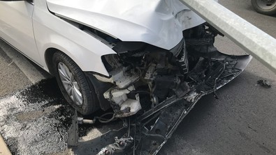 Sivrisinek deyip geçmeyin; bakın neye sebep oldu! - Resim : 2