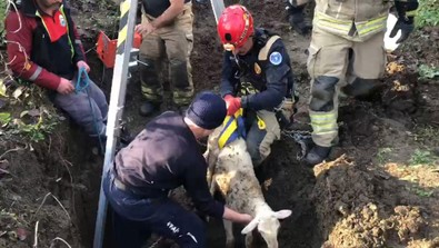 Bursa'da su kuyusunda mahsur kalan kuzunun kurtarılma anları yürekleri ısıttı! - Resim : 2