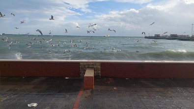 Tekirdağ'da şiddetli lodos: Dev dalgalar kıyıya vurdu - Resim : 2
