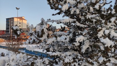 Ardahan dondurucu soğuklara teslim oldu - Resim : 2