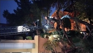 Aşırı yağış ve rüzgar nedeniyle hastane bahçesine ağaç devrildi! - Resim : 1