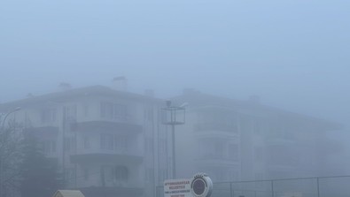 Afyonkarahisar'da hava sıcaklıkları iyice düştü. Kentte etkili olan sis, en çok onları etkiledi. Adım atamaz hale geldiler - Resim : 1