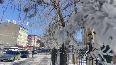 Ardahan'da etkili olan Sibirya soğukları yaşamı durma noktasına getirdi! Termometreler sıfırın altında eksi 32 dereceyi gösterdi - Resim : 1