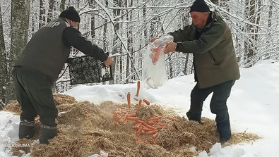 Bursa'da yoğun kar yağışı ve zor kış şartlarında yem bulmakta güçlük çeken yaban hayvanlarını unutmadılar. Tamı tamına 1800 kilogram yiyecek bıraktılar - Resim : 1