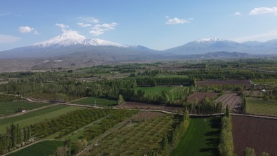 Iğdır'da ovaya bakan başka, Ağrı Dağı'na bakan bambaşka bir manzara görüyor. İkisi bir arada - Resim : 1