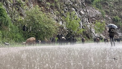 Hakkari, Muş, Şırnak ve Bitlis için resmi uyarı geldi! Şiddetli ve çok ani gelecek... Herkes önlemini alsın - Resim : 1