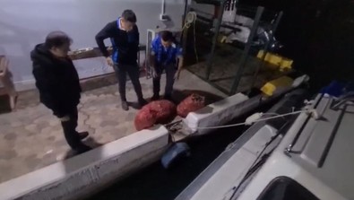 Yasağı çiğnedi, 66 bin lira ceza ödedi! - Resim : 2
