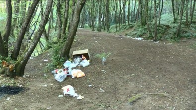 Bu ayıp bize yeter! Piknikçiler Belgrad Ormanı'nı çöp yığınına çevirdi, semt sakinleri isyan etti - Resim : 1