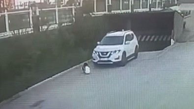 Erzurum'da feci olay! Garajdan çıkan araç 5 yaşındaki Alparslan Cellat'ı ezdi! - Resim : 2