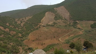 Erzincan'daki o bölgeye herkes ''Kurtlar vadisi'' diyordu! Ancak şimdi yemyeşil bir cennete dönüştü... Şimdi ilk mahsul zamanı - Resim : 1