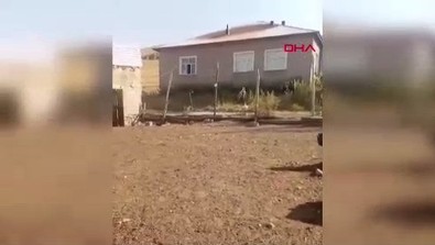 Van'da o bölgede büyük istilaya geçen canlılarla mücadele başladı - Resim : 1