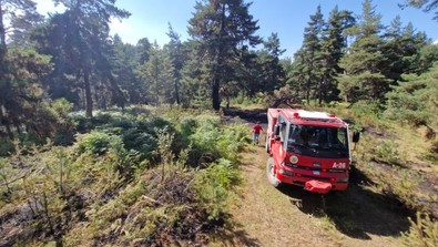  Kastamonu'da orman yangını! Hızlı müdahale ile facianın eşiğinden dönüldü - Resim : 1