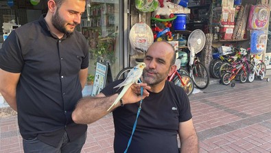 Osmaniye'de 15 ay önce sahiplendiği canlıyı iş yerine götürdü. Esnafın maskotu oldu - Resim : 2