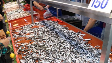 Denizlerde avlanma yasağı kalktı! Hamsinin fiyatı şimdiden 50 lira birden düştü - Resim : 1