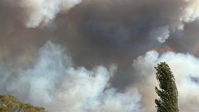 Uşak'ta enerji santrallerinin yakınında orman yangını çıktı! - Resim : 1