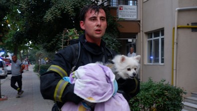 Alevlerin arasında mahsur kalan köpeği kucağında çıkardı! İtfaiye eri canını hiçe saydı - Resim : 1