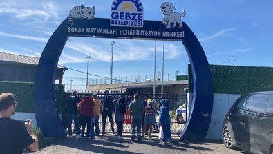 Gebze'de hayvan katliamı iddiası sosyal medyayı ayağa kaldırdı - Resim : 1
