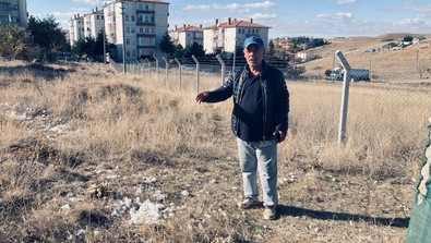 Ankara'da kümese giren başıboş köpekler 35 tavuğu telef etti! Mahalleli korkudan sadece izlemekle yetindi - Resim : 1