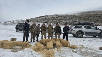 Amasya'da bir grup vatandaş, doğanın özgür ruhlu canlıları için karla kaplı araziye çıktı. Kış boyunca bunu yapacaklar - Resim : 2